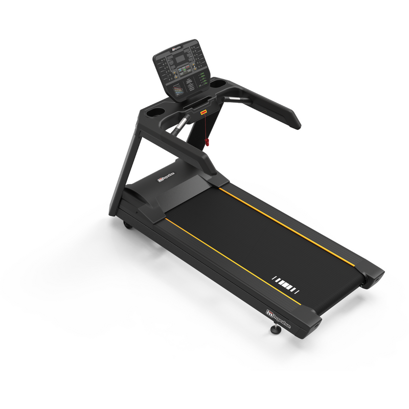 AC 2990 Treadmill