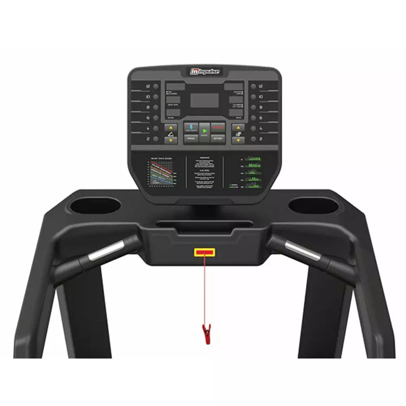 AC 2990 Treadmill